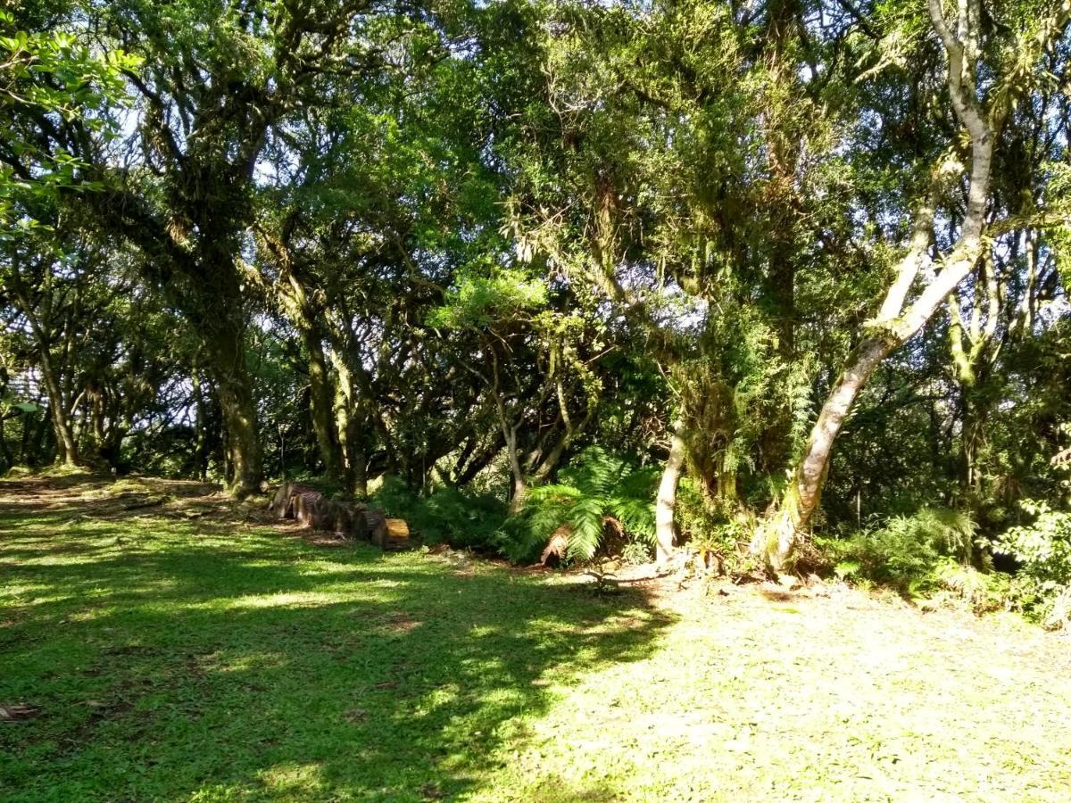 Recanto Da Mata Pousada São Francisco de Paula Exteriér fotografie