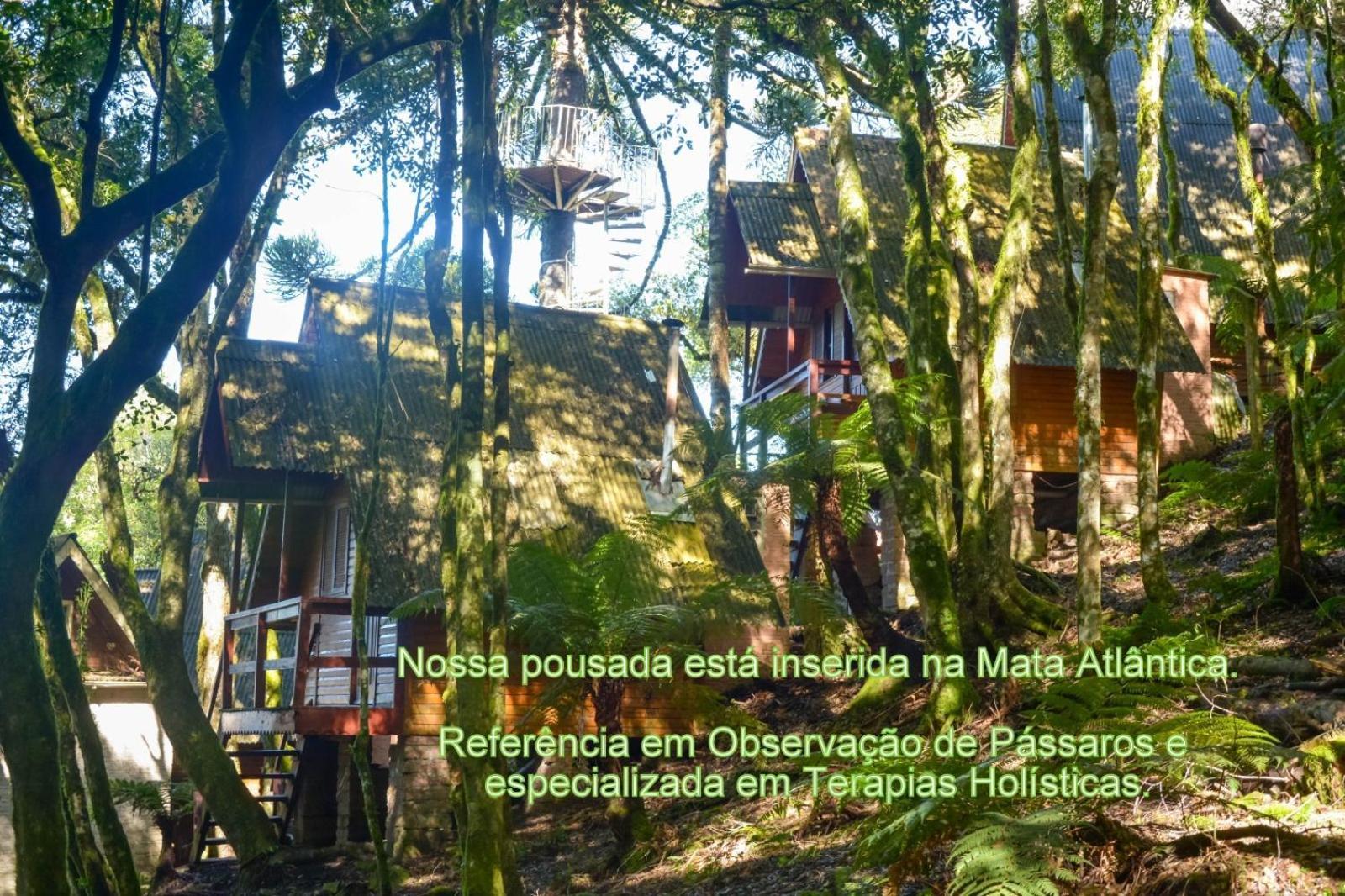 Recanto Da Mata Pousada São Francisco de Paula Exteriér fotografie