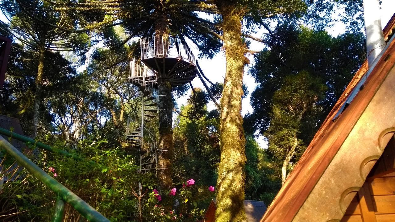 Recanto Da Mata Pousada São Francisco de Paula Exteriér fotografie